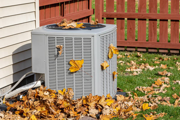 Best HVAC Cleaning Services  in Rogers City, MI